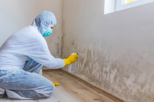 Licensed Mold Testing service in Lillington, NC - WQB Mold Removal