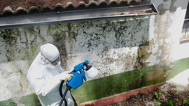 Top rated local Mold Testing specialists in Lillington, NC